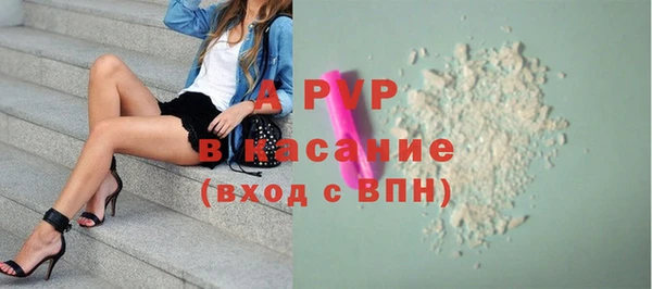 гидра Надым