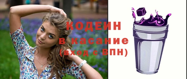 гидра Надым