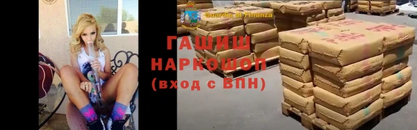 гидра Надым