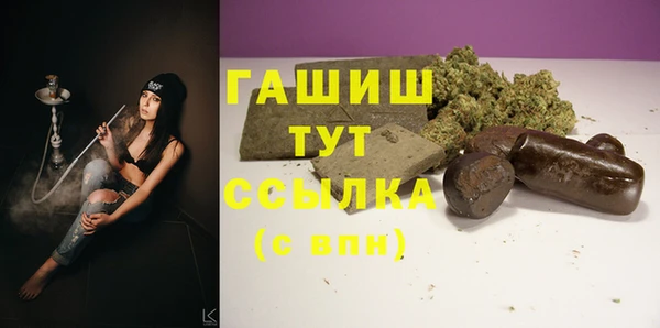 гидра Надым