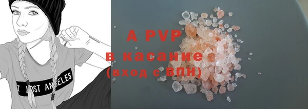 гидра Надым