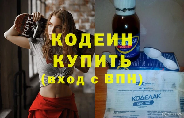 гидра Надым