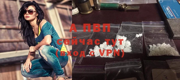 гидра Надым